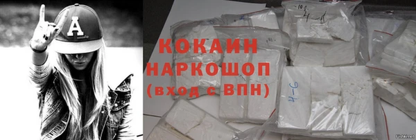 дживик Горняк