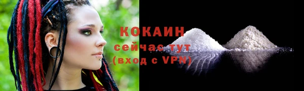 дживик Горняк