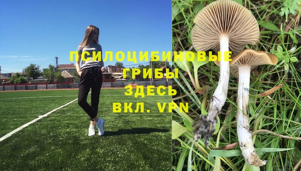 кристаллы Горнозаводск