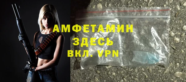 дживик Горняк