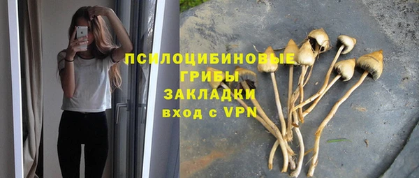 дживик Горняк