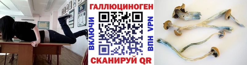 цена   Одинцово  Галлюциногенные грибы GOLDEN TEACHER 